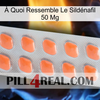 À Quoi Ressemble Le Sildénafil 50 Mg 26